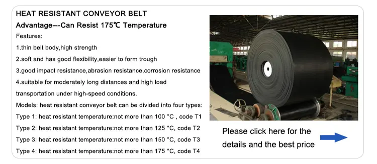 Heat Resistant Conveyor Belt